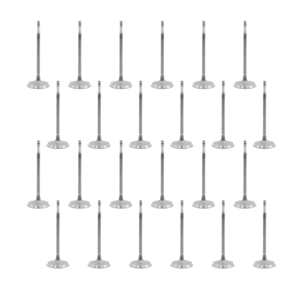 24X Intake Valves for Ford EcoBoost 3.5L 4V V6 AA5Z6507A
