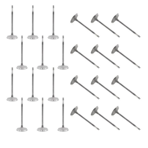 24X Intake Valves for Ford EcoBoost 3.5L 4V V6 AA5Z6507A - Image 3