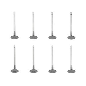 8X Intake Valves for GM Duramax 6.6L LML LGH LB7 LLY LBZ 12638805