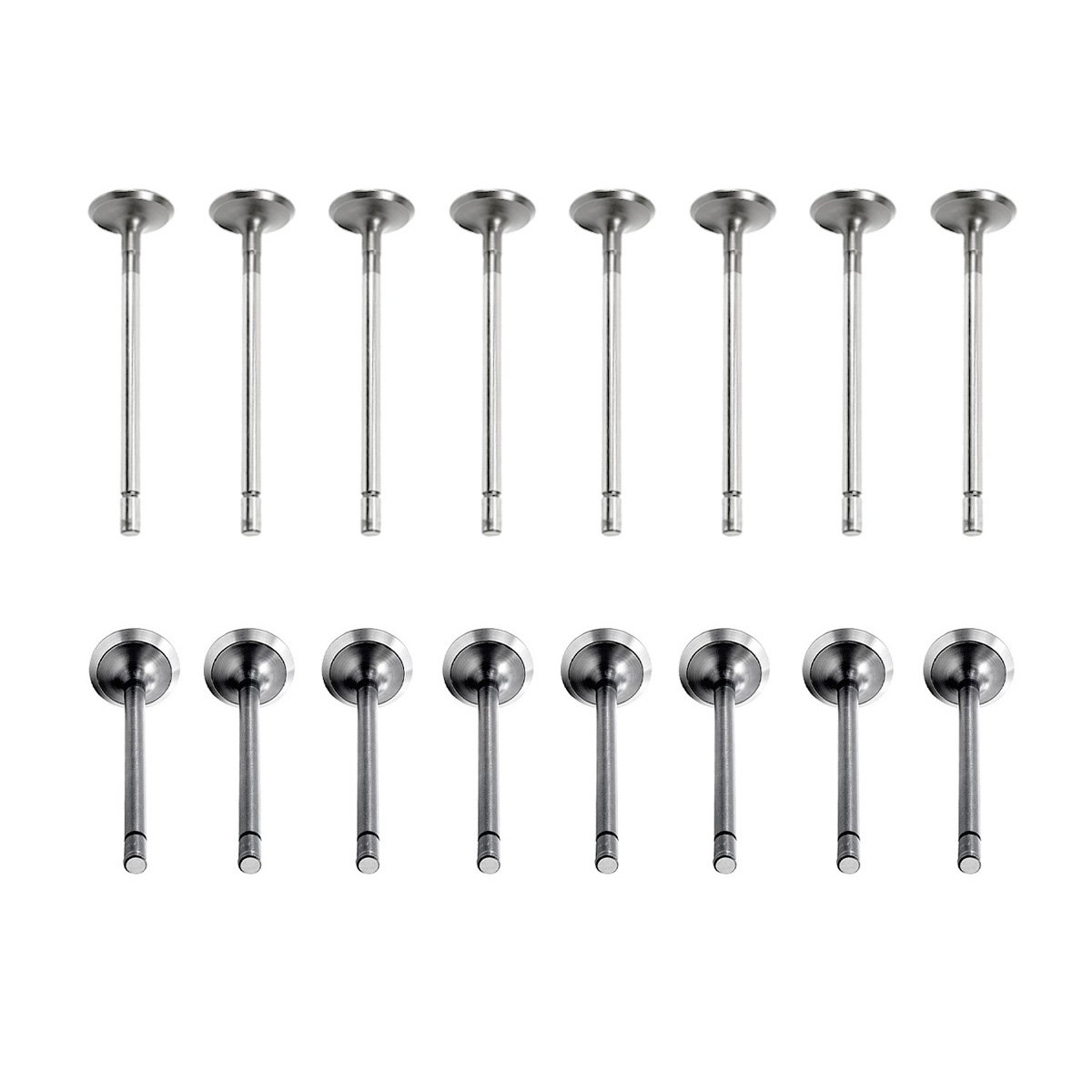 16X Exhaust & Intake Valves for GM Duramax 6.6L LML LGH LB7 LLY LBZ 97225508, 12638805